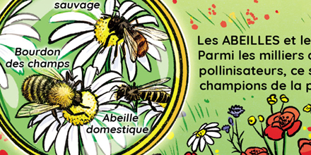 Graines de jardiniers