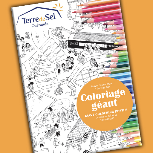Terre de Sel.. et de couleurs ! Terre de Sel.. et de couleurs !