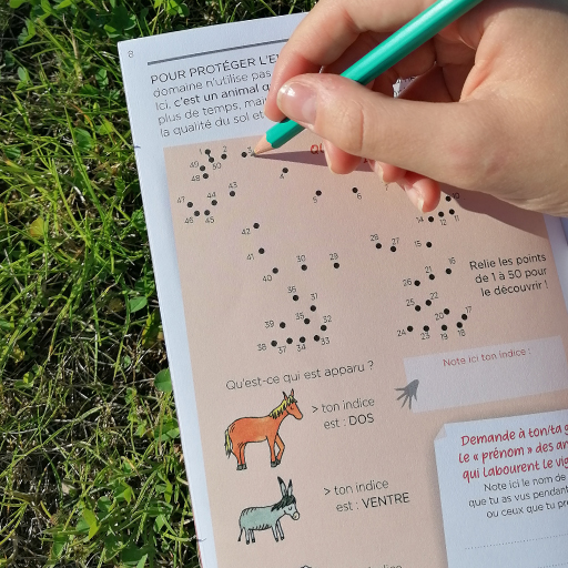 Chasse au trésor dans les vignes Chasse au trésor dans les vignes