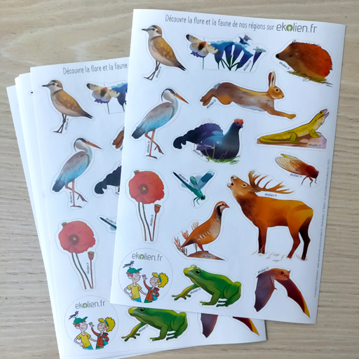 EKOLEIN stickers faune